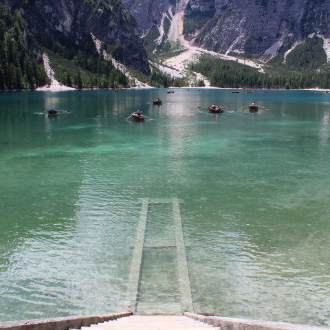 Wines from Trentino South Tyrol