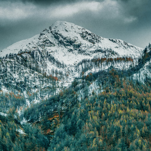 Wines from Val D'Aosta